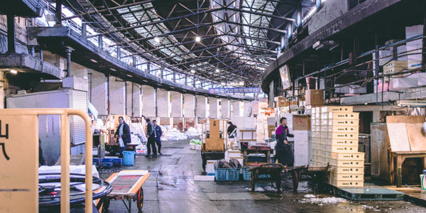 Fish Market Tour in Tokyo