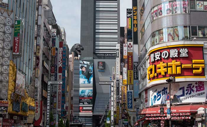Godzilla Road and Don Quijote in Kabukicho, Shinjuku.