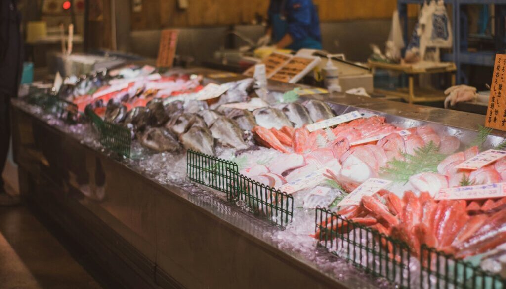 Fresh fish by namito yokota