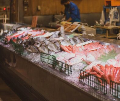 Fresh fish by namito yokota