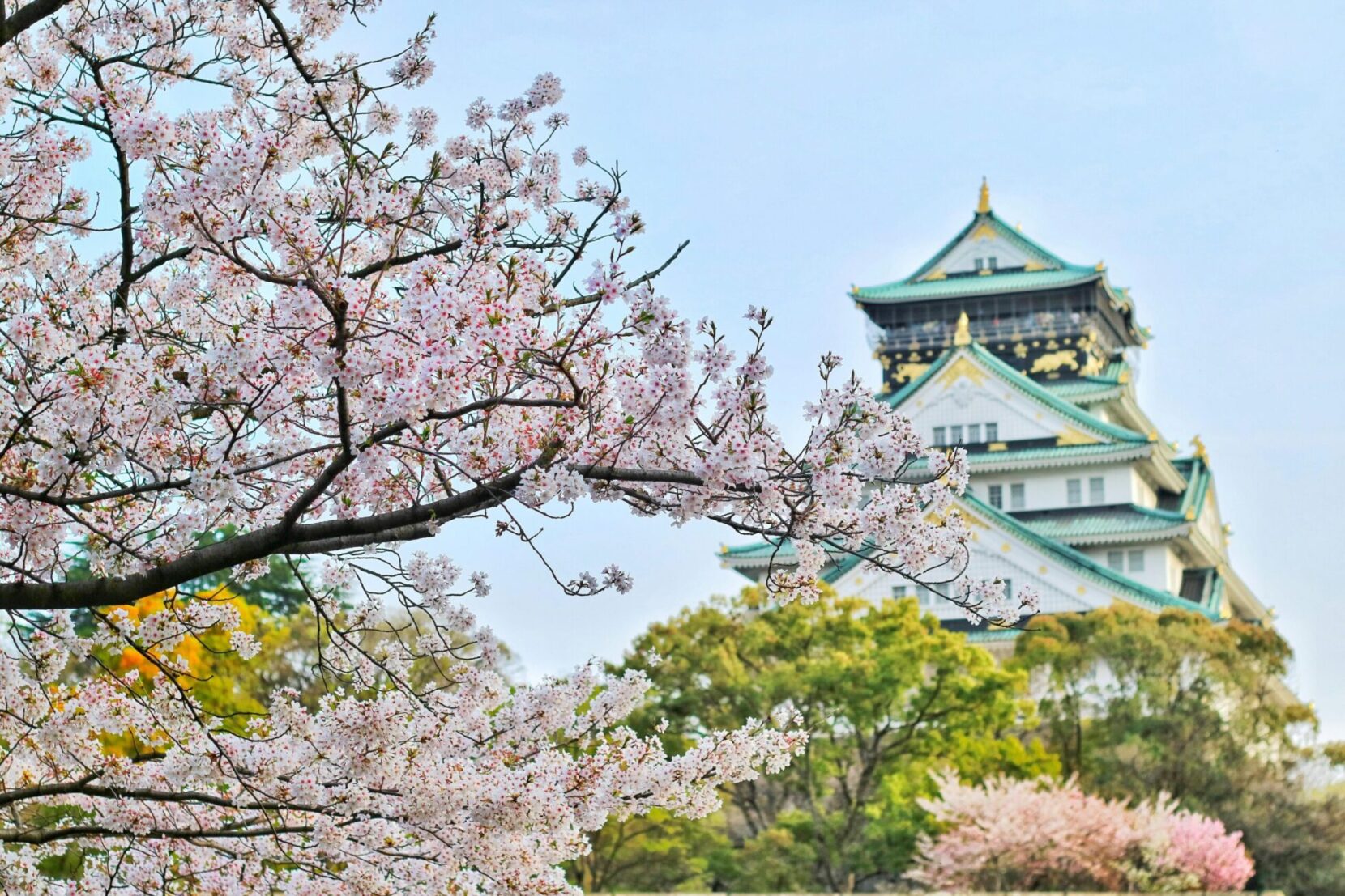 Osaka castle bagus