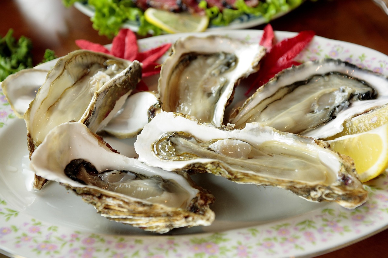 miyajima oysters