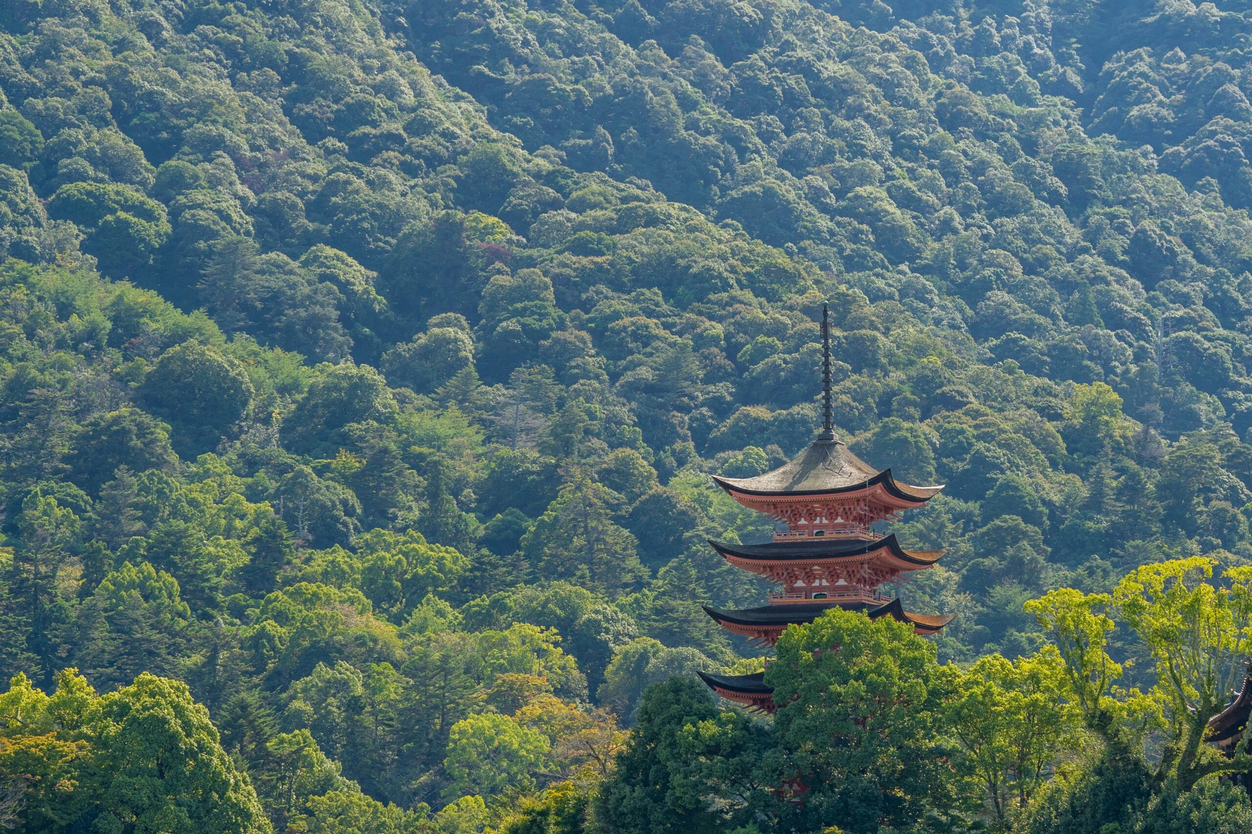mt misen by mateusz