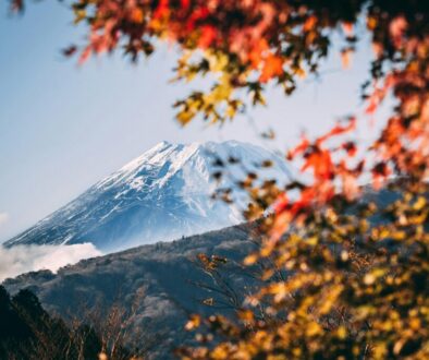 Mt. Fuji in the fall by DSD