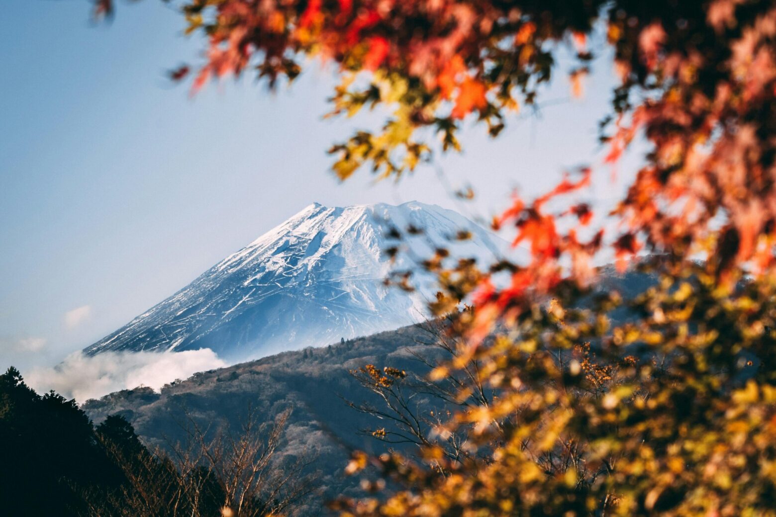 Mt. Fuji in the fall by DSD